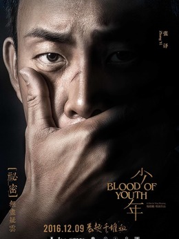 少年剧情介绍_天天影视