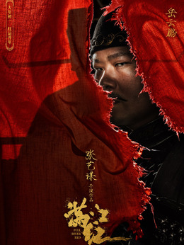 满江红剧情介绍_天天影视