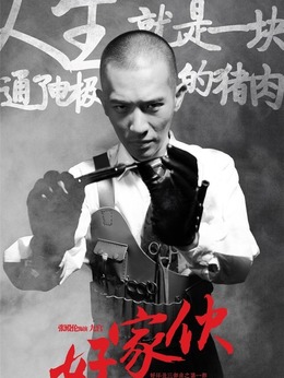 好家伙剧情介绍_天天影视