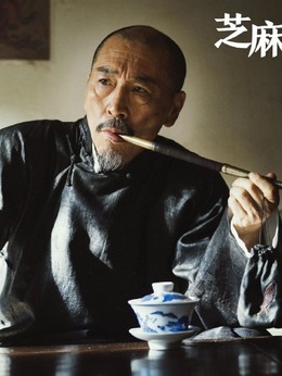 芝麻胡同剧情介绍_天天影视