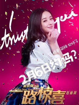 一路惊喜剧情介绍_天天影视