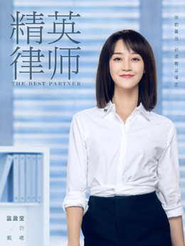 精英律师剧情介绍_天天影视