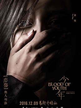 少年剧情介绍_天天影视