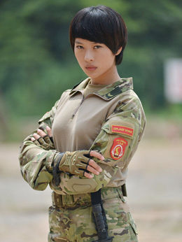 我是特种兵之火凤凰剧情介绍_天天影视