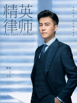 精英律师剧情介绍_天天影视