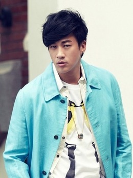 精武飞鸿剧情介绍_天天影视