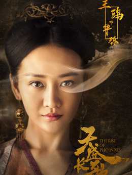 天盛长歌剧情介绍_天天影视