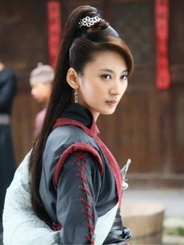 施公案剧情介绍_天天影视