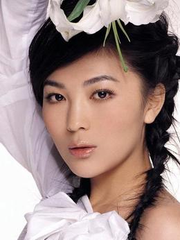 双枪李向阳剧情介绍_天天影视