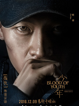 少年剧情介绍_天天影视