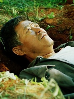 落叶归根剧情介绍_天天影视