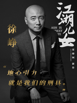 江湖儿女剧情介绍_天天影视