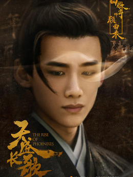 天盛长歌剧情介绍_天天影视