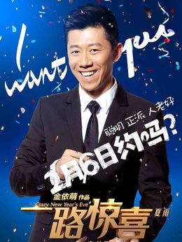 一路惊喜剧情介绍_天天影视