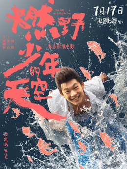 燃野少年的天空剧情介绍_天天影视