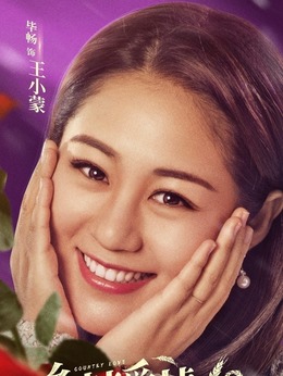 乡村爱情10(下)剧情介绍_天天影视