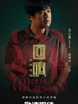 回响剧情介绍_天天影视