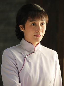 正阳门下小女人剧情介绍_天天影视