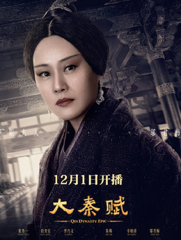 大秦赋剧情介绍_天天影视