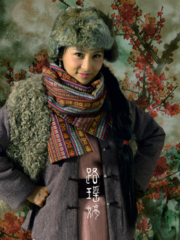 镖门剧情介绍_天天影视