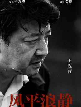 风平浪静剧情介绍_天天影视