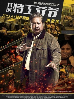 我的特工爷爷剧情介绍_天天影视