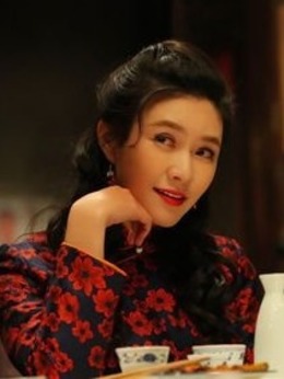 正阳门下小女人剧情介绍_天天影视