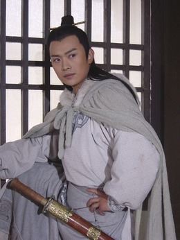 萍踪侠影剧情介绍_天天影视