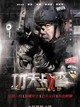 功夫战警剧情介绍_天天影视