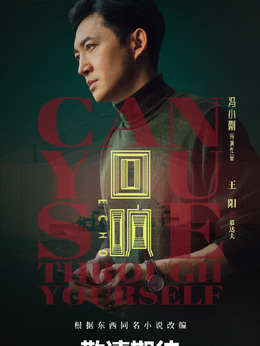 回响剧情介绍_天天影视