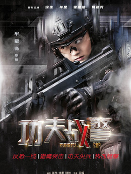 功夫战警剧情介绍_天天影视