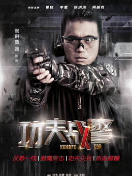 功夫战警剧情介绍_天天影视