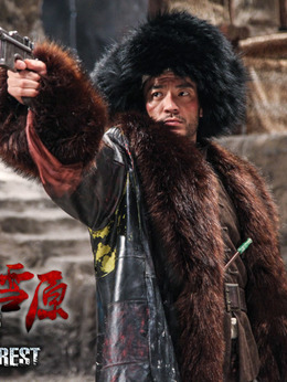 林海雪原剧情介绍_天天影视