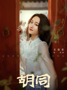 胡同剧情介绍_天天影视