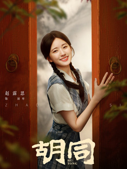 胡同剧情介绍_天天影视