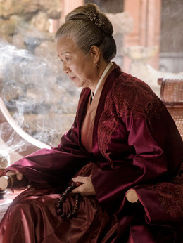 知否知否应是绿肥红瘦剧情介绍_天天影视