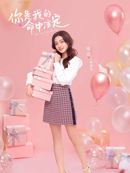 你是我的命中注定剧情介绍_天天影视