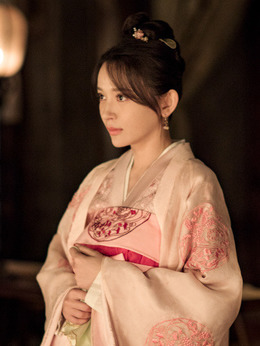 知否知否应是绿肥红瘦剧情介绍_天天影视