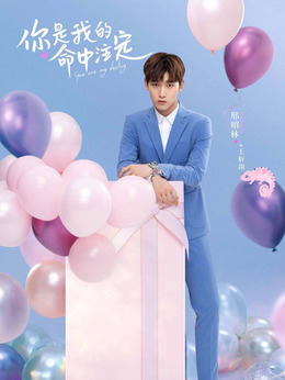 你是我的命中注定剧情介绍_天天影视