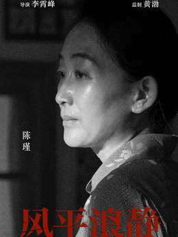 风平浪静剧情介绍_天天影视