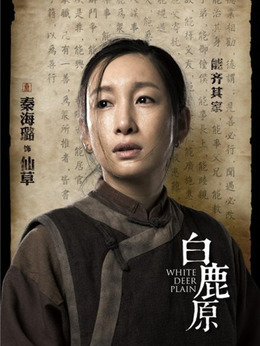 白鹿原剧情介绍_天天影视