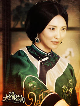 大清盐商剧情介绍_天天影视