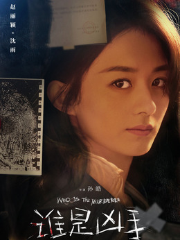 谁是凶手剧情介绍_天天影视