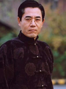 京华烟云剧情介绍_天天影视