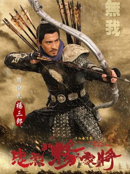 忠烈杨家将剧情介绍_天天影视