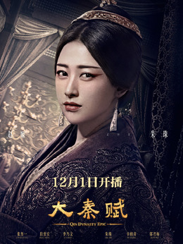 大秦赋剧情介绍_天天影视