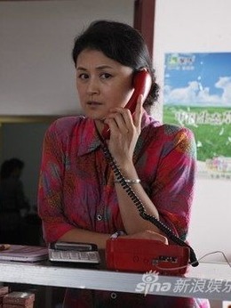 乡村爱情小夜曲剧情介绍_天天影视