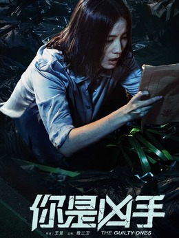 你是凶手剧情介绍_天天影视