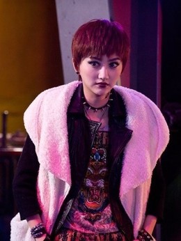 警察故事2013剧情介绍_天天影视