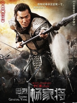 忠烈杨家将剧情介绍_天天影视